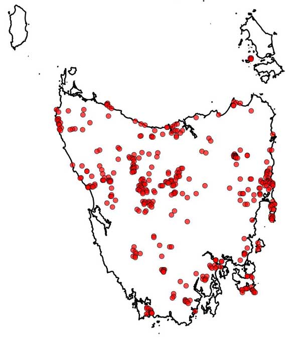 Dick Burns map b