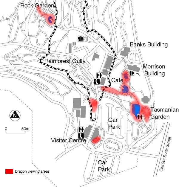 Water Dragon viewing areas at the ANBG