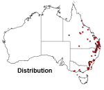 Cenchrus purpurascens distribution