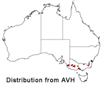 Pelargonium rodneyanum distribution