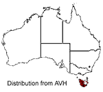 Eucryphia lucida distribution