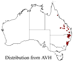 Mirbelia speciosa distribution