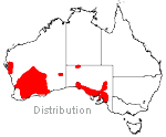 Eremophila subfloccosa distributiion
