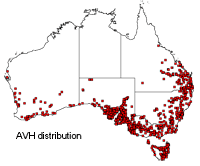 Dianella revoluta distribution