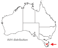 Cryptandra alpina distribution