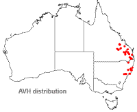 Melaleuca groveana distribution