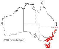 Scaevola hookeri distribution