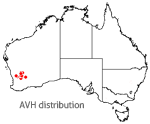 Acacia denticulosa map