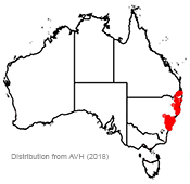 Epacris longiflora distribution