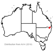 Homoranthus lunatus distribution