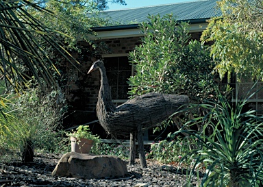 APII jpeg image of Melaleuca uncinata  © contact APII