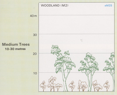 Woodlands structure